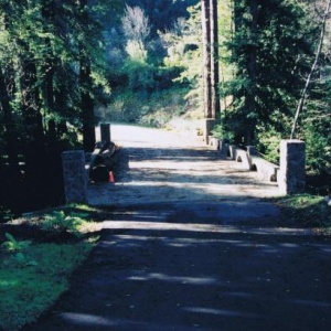 Completed bridges with rock lined railing.